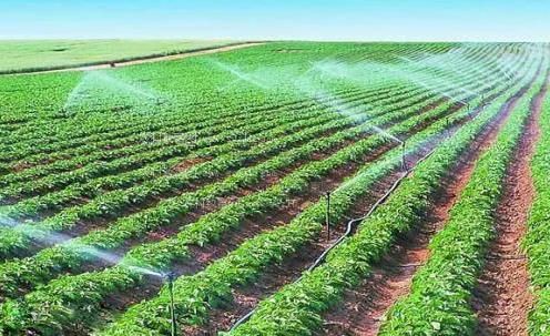 梨巴嫩肥屄性爱农田高 效节水灌溉
